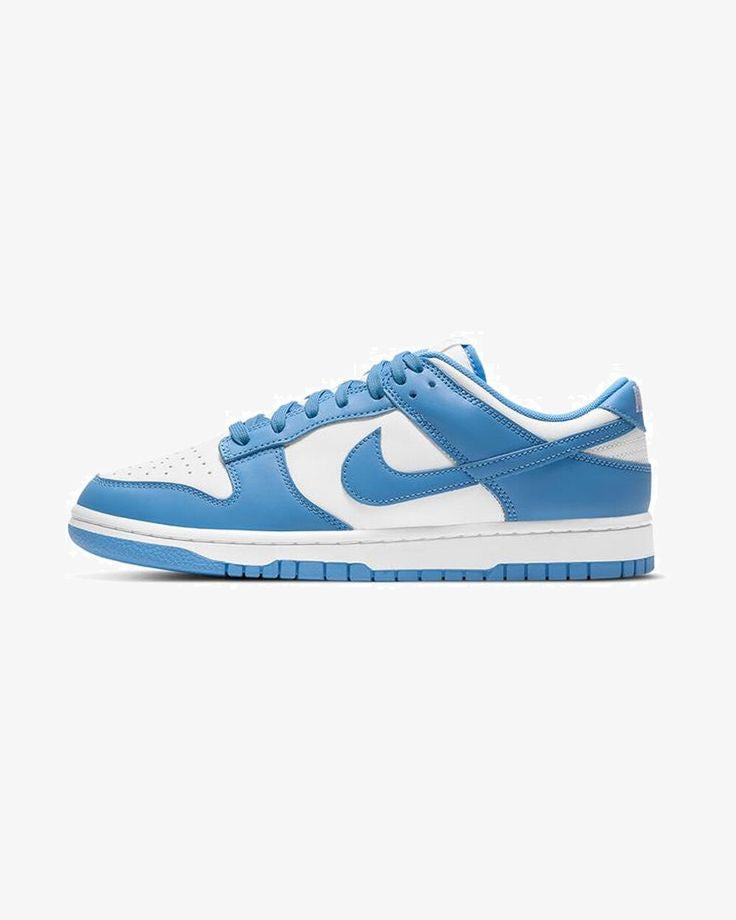 Brand New Nike Blue Dunks